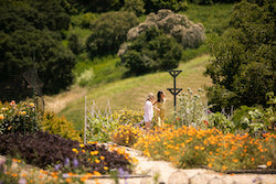 Garden to Glass: Cocktails & Mocktails